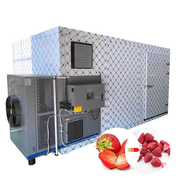 strawberry heat pump dryer